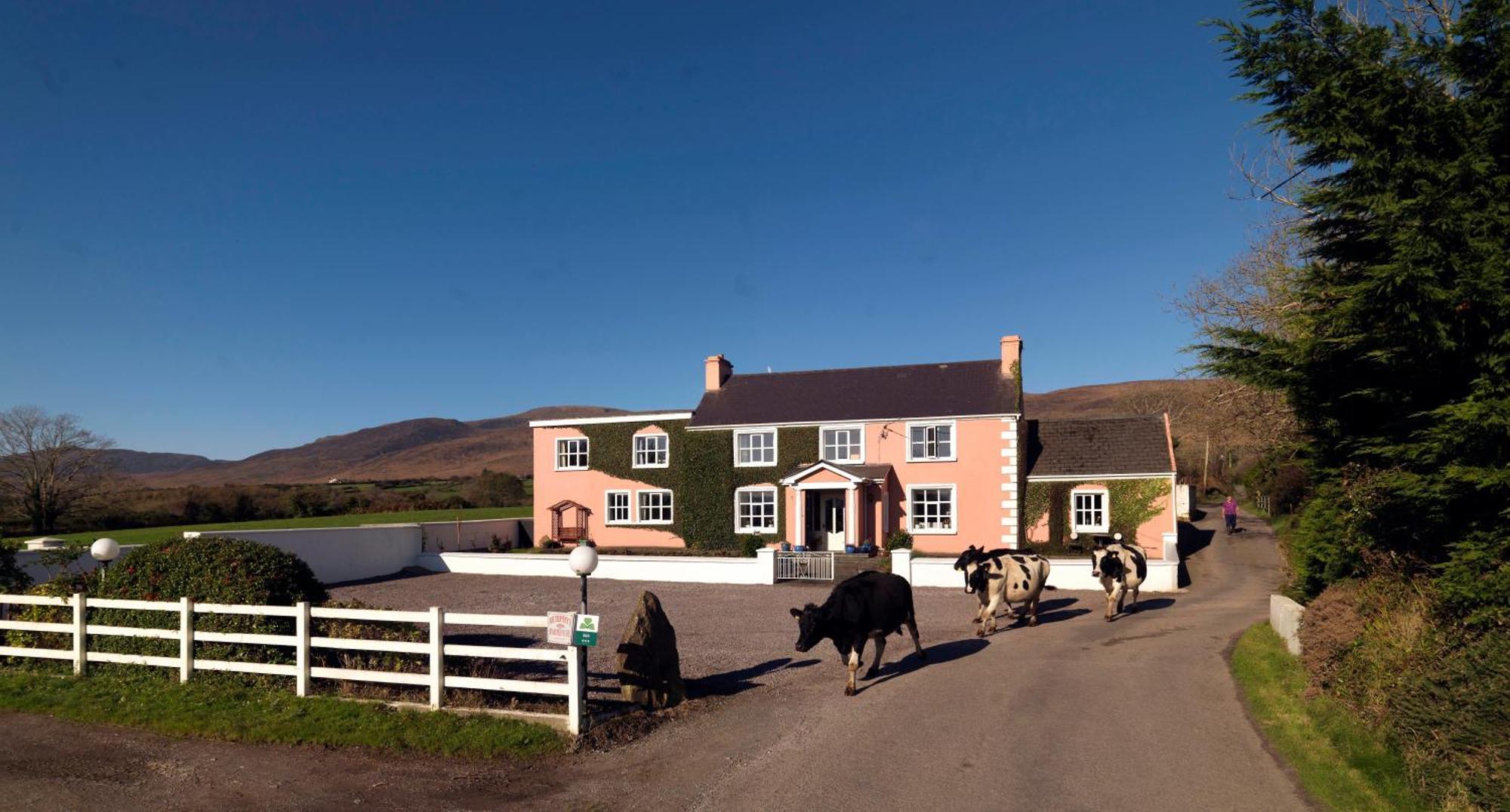 Murphys Farmhouse B&B Каслмейн Экстерьер фото