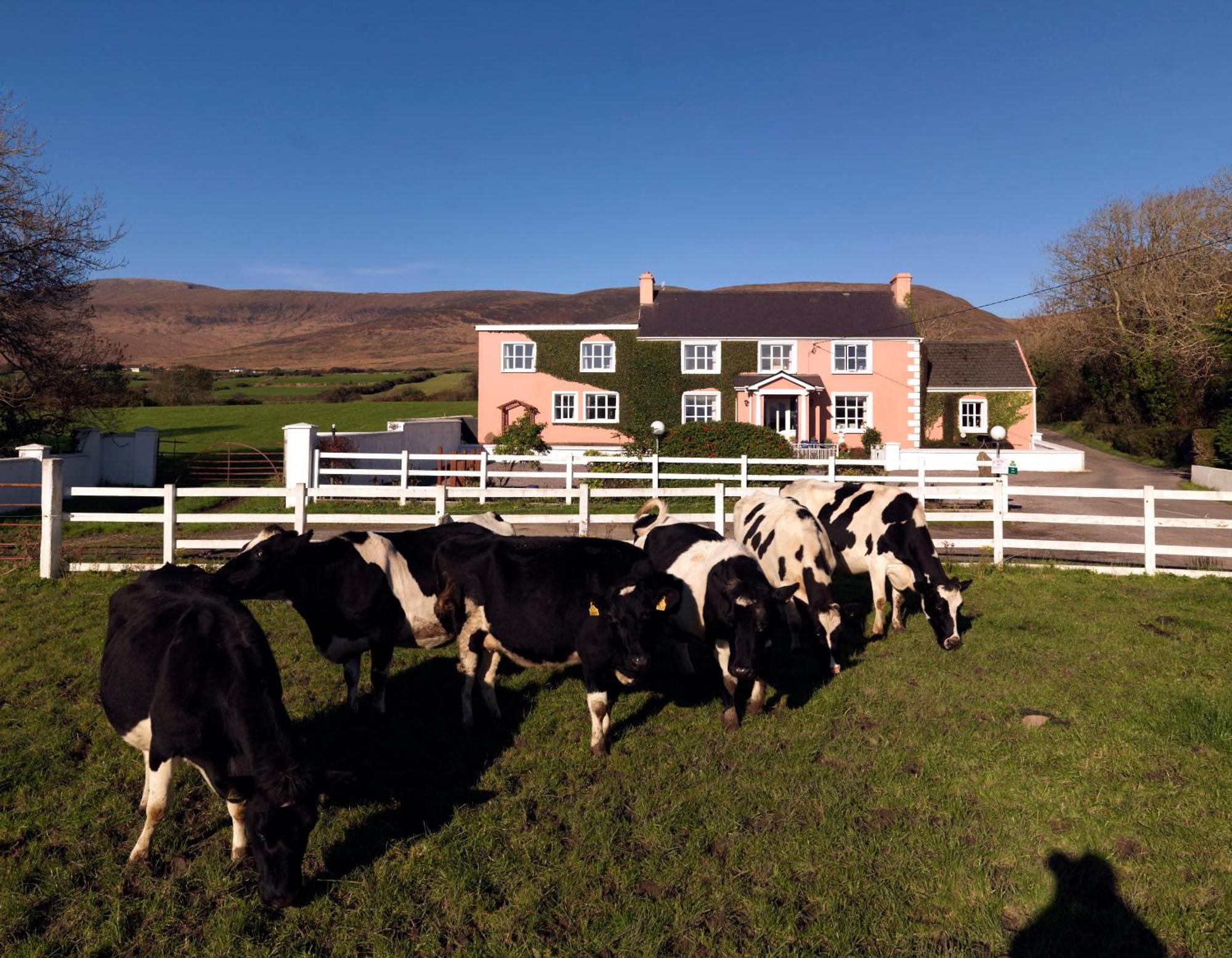 Murphys Farmhouse B&B Каслмейн Экстерьер фото